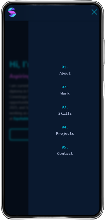 Portfolio Website